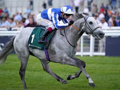 Art Power's Commanding Sapphire Victory Image 1