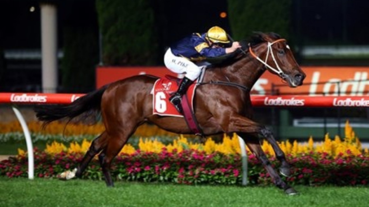 Springtime Surprise: Sprinter's Comeback Image 1