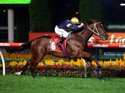 Springtime Surprise: Sprinter's Comeback Image 1