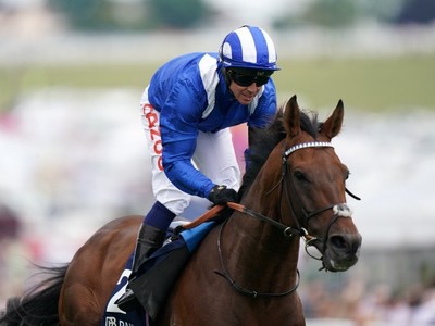 A Majestic Triumph: Colt Alflaila Reigns Supreme In York ... Image 1