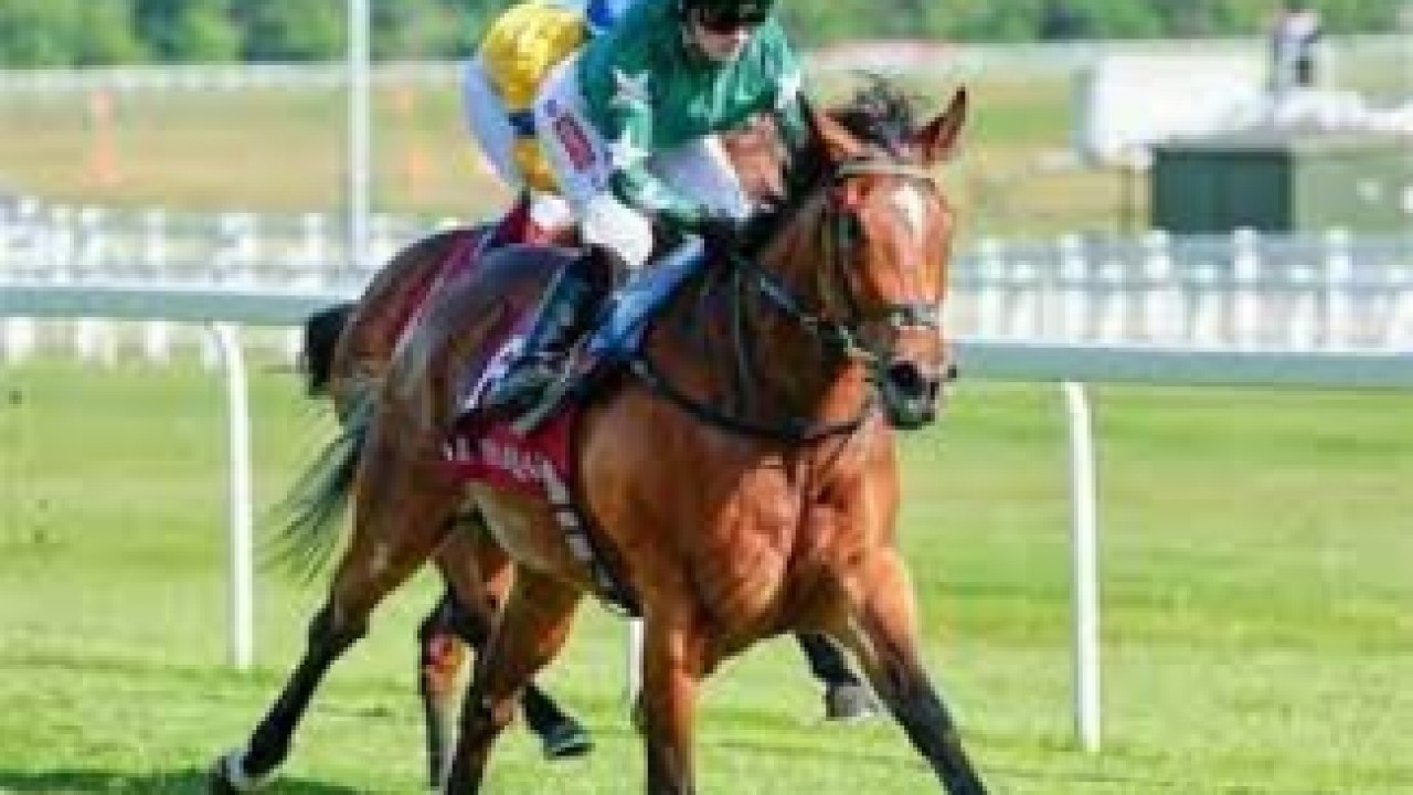 Speed &amp; Grace Unleashed: Nassau Stakes Contenders Image 1