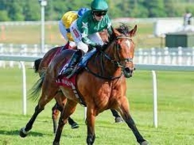 Speed &amp; Grace Unleashed: Nassau Stakes Contenders Image 1