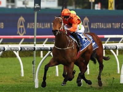 Mogo Magic's Unbeatable Charm Strikes Again With A Win Image 1