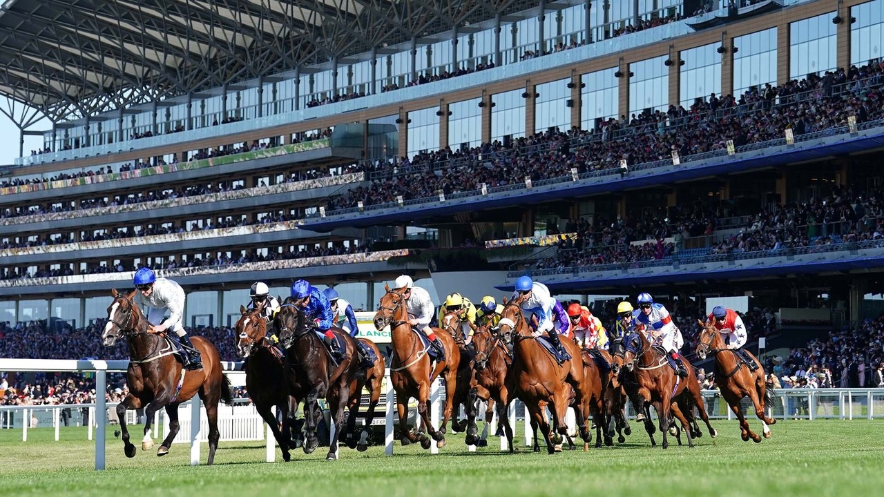 Racing Royalty: Goodwood And Ebor Prepare For Plate ... Image 1