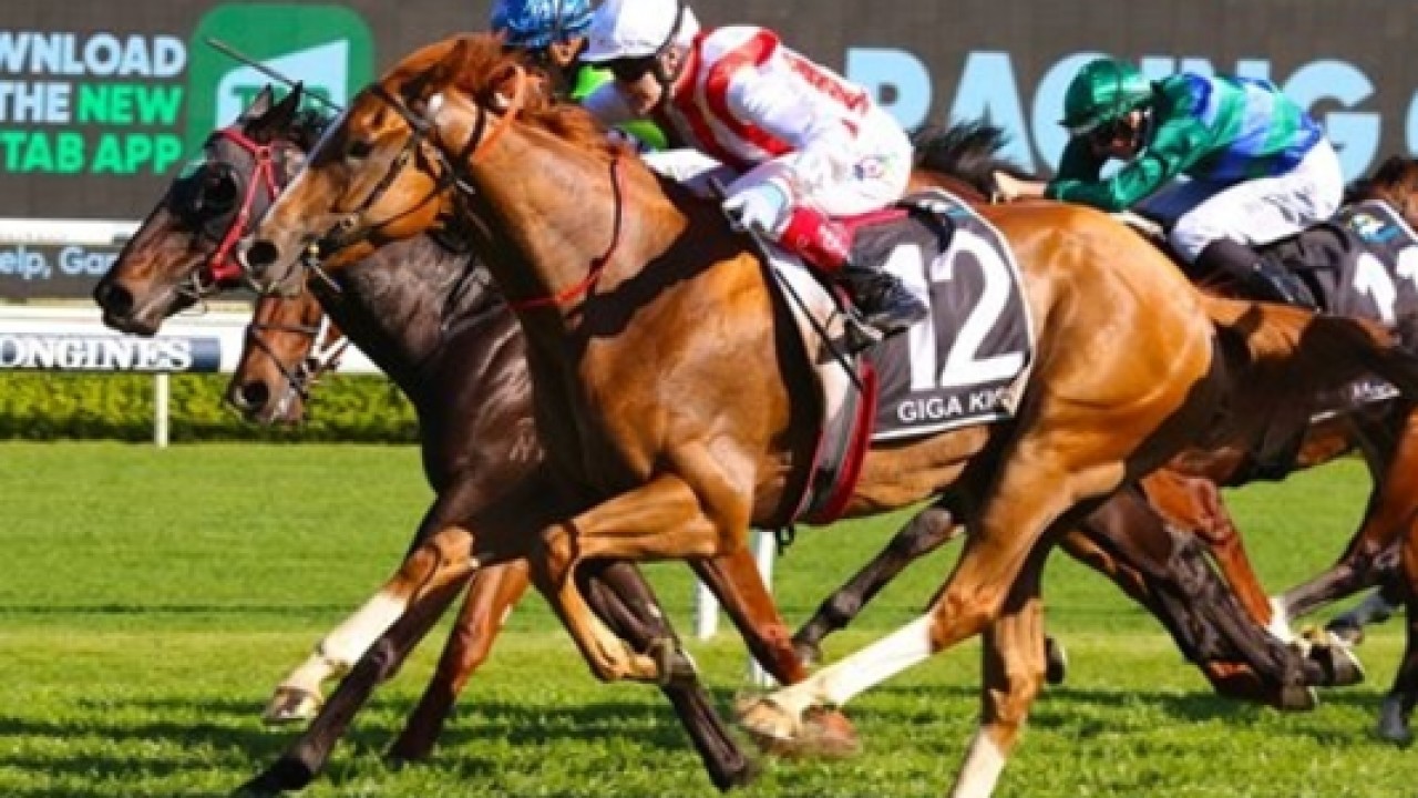 Autumn's Sprinting Sensation Takes On The Everest Image 1