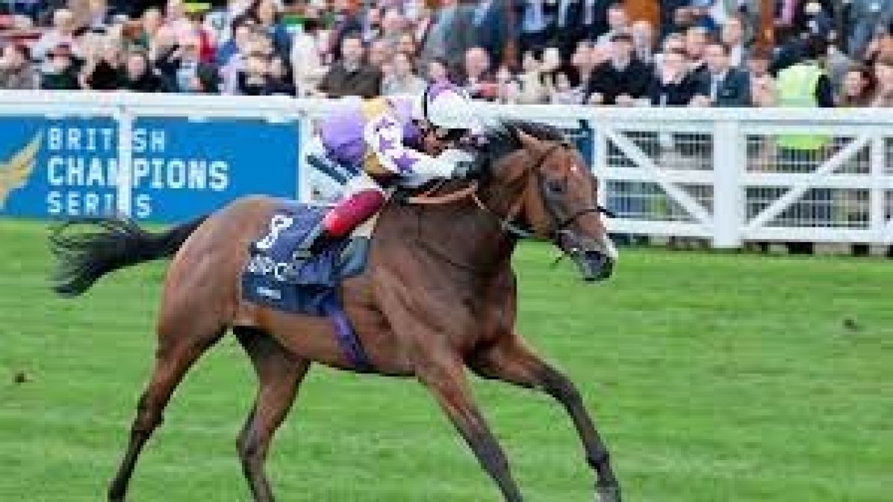 Kinross Emerges Victorious Once More In The Lennox Stakes Image 1