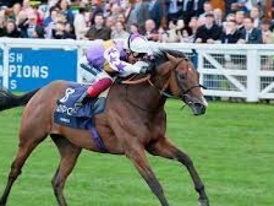 Kinross Emerges Victorious Once More In The Lennox Stakes Image 1