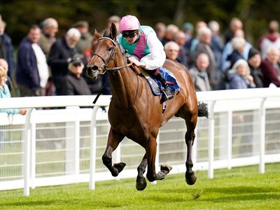 Dreaming Of Yorkshire Oaks: Bluestocking Image 1