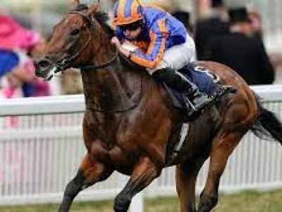 Aidan O'Brien's Cox Plate Consideration: Paddington's ... Image 1