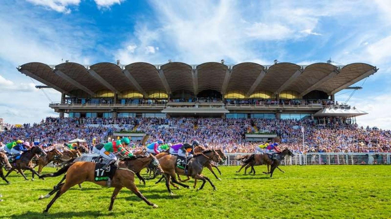 Coral Majesty Takes the Lead Image 1