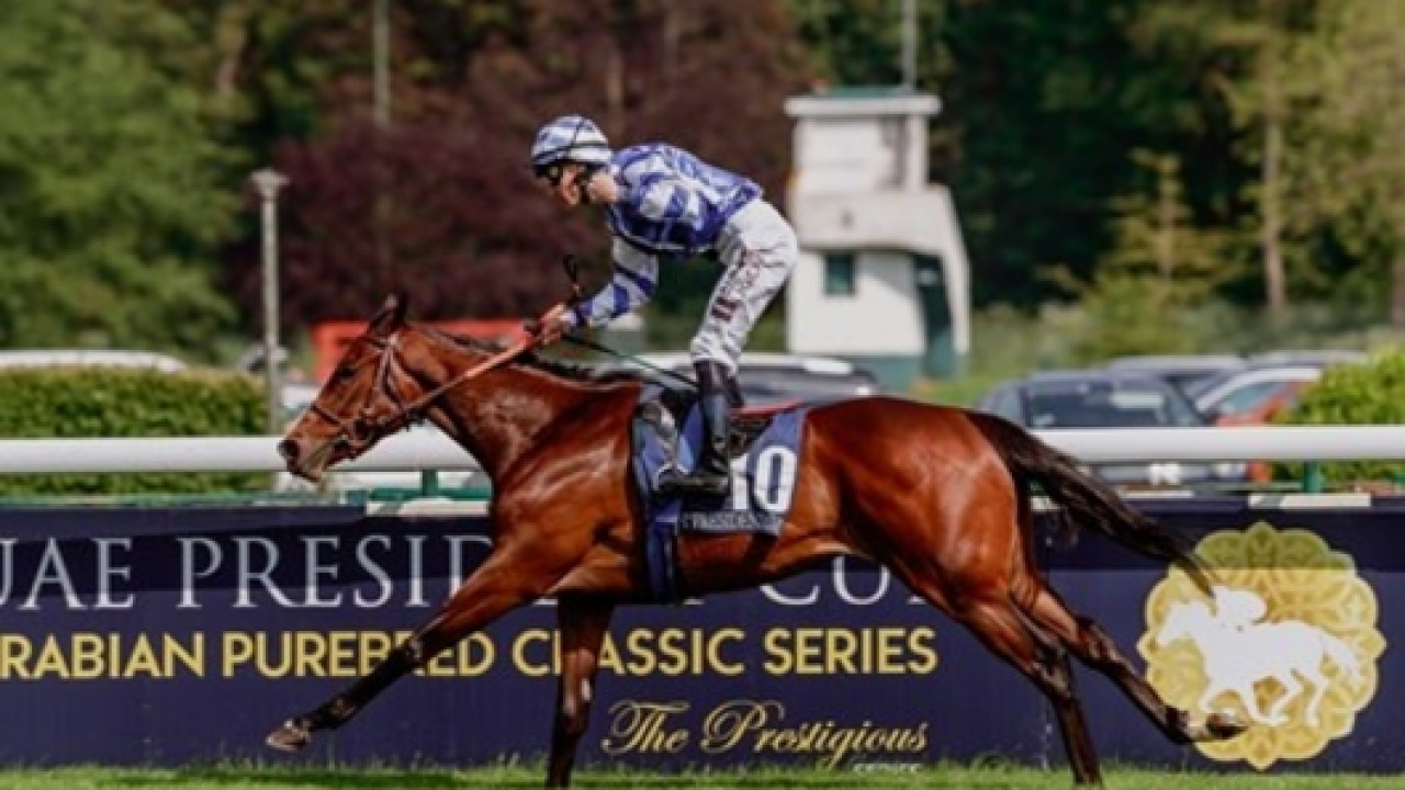 Surprising Twist: Al Husn Outshines Above The Curve In ... Image 1