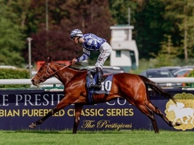 Surprising Twist: Al Husn Outshines Above The Curve In ... Image 1