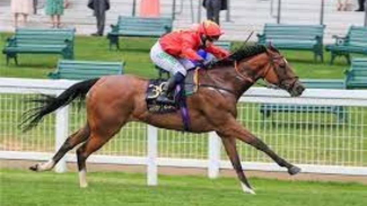 King George Stakes Conquered By Highfield Princess Image 1