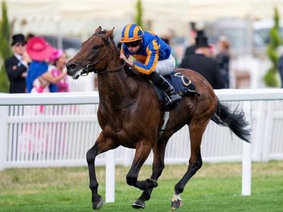 Is Paddington unbeatable? Sussex Stakes triumph Image 1