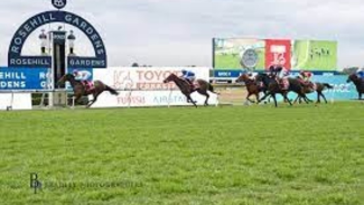 Exciting Showdown Awaits Manikato Stakes Image 1