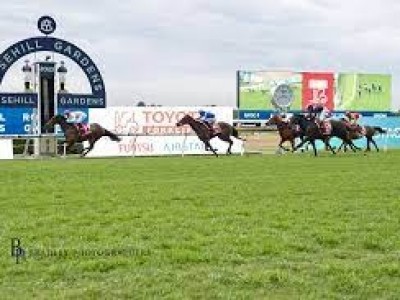 Exciting Showdown Awaits Manikato Stakes Image 1