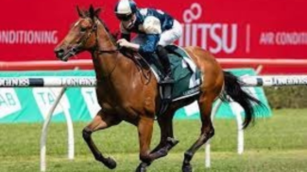 Farewell To A Glorious Mare: Coolangatta Retired Image 1