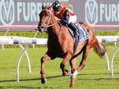 Nature Strip Impresses Trainer Waller Image 1