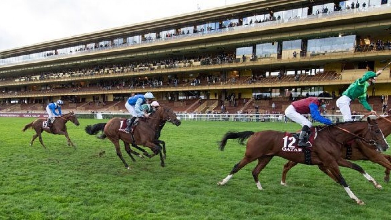 Place Du Carrousel: Fabre's Arc Contender Image 1