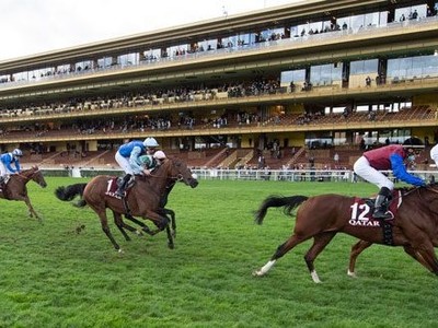 Place Du Carrousel: Fabre's Arc Contender Image 1