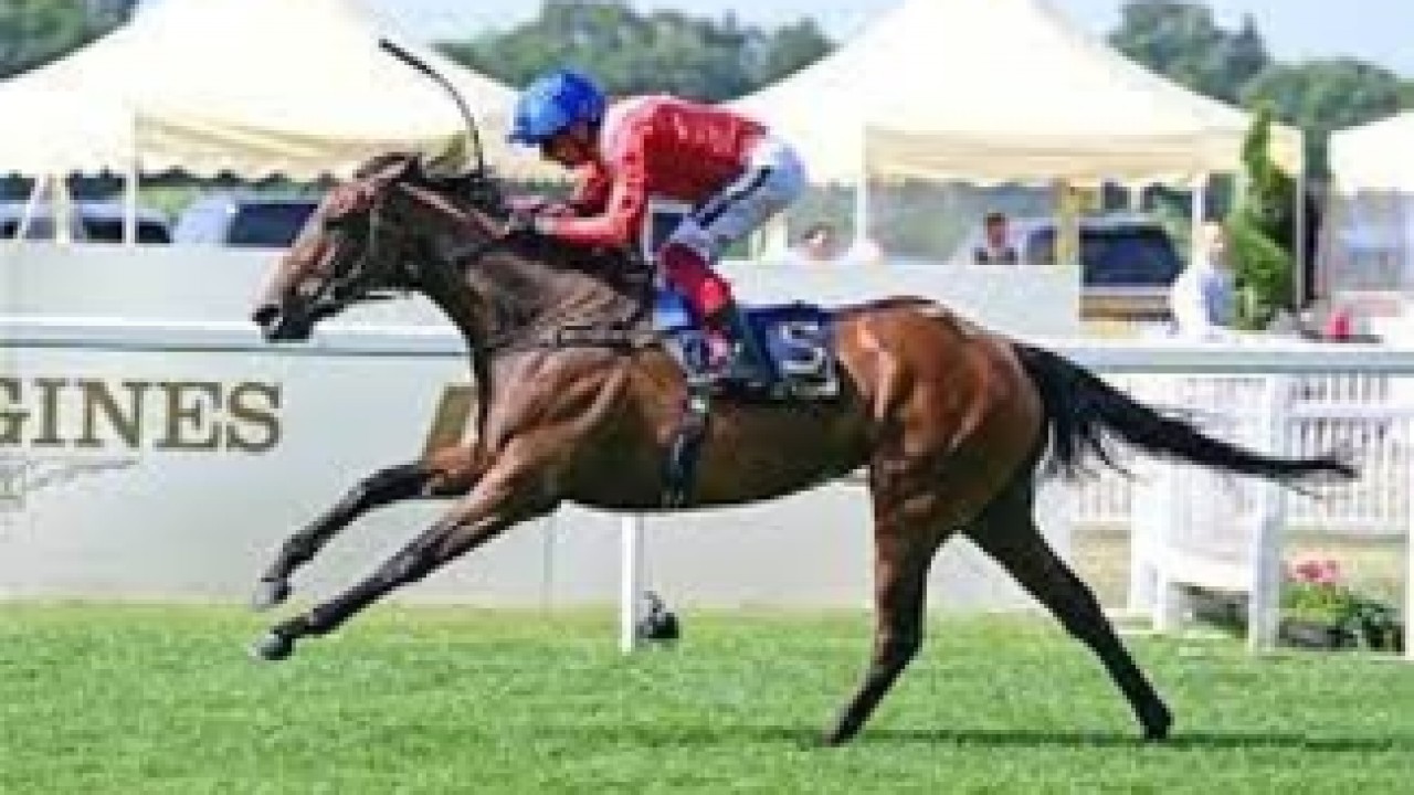 Jacques le Marois Success Thrills Inspiral's Team Image 1