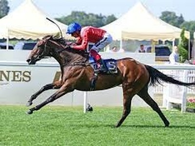 Jacques le Marois Success Thrills Inspiral's Team Image 1