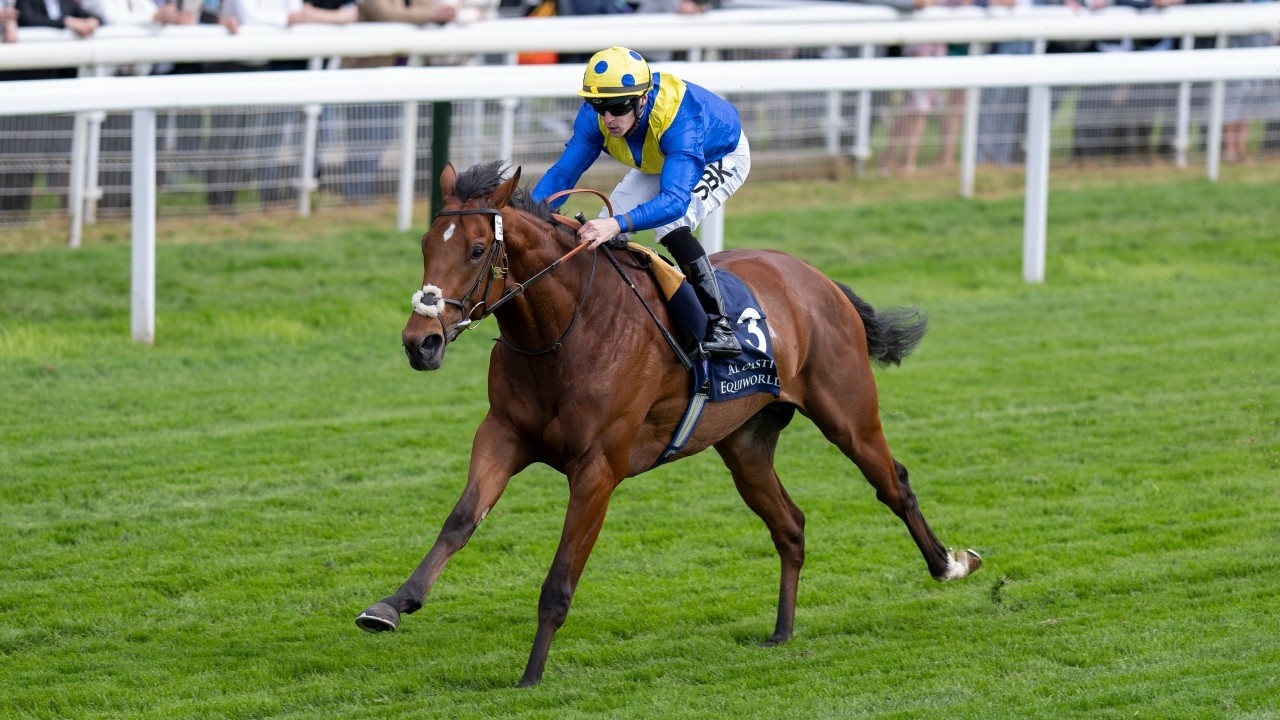 Desert Crown Eyes Juddmonte Triumph Image 1