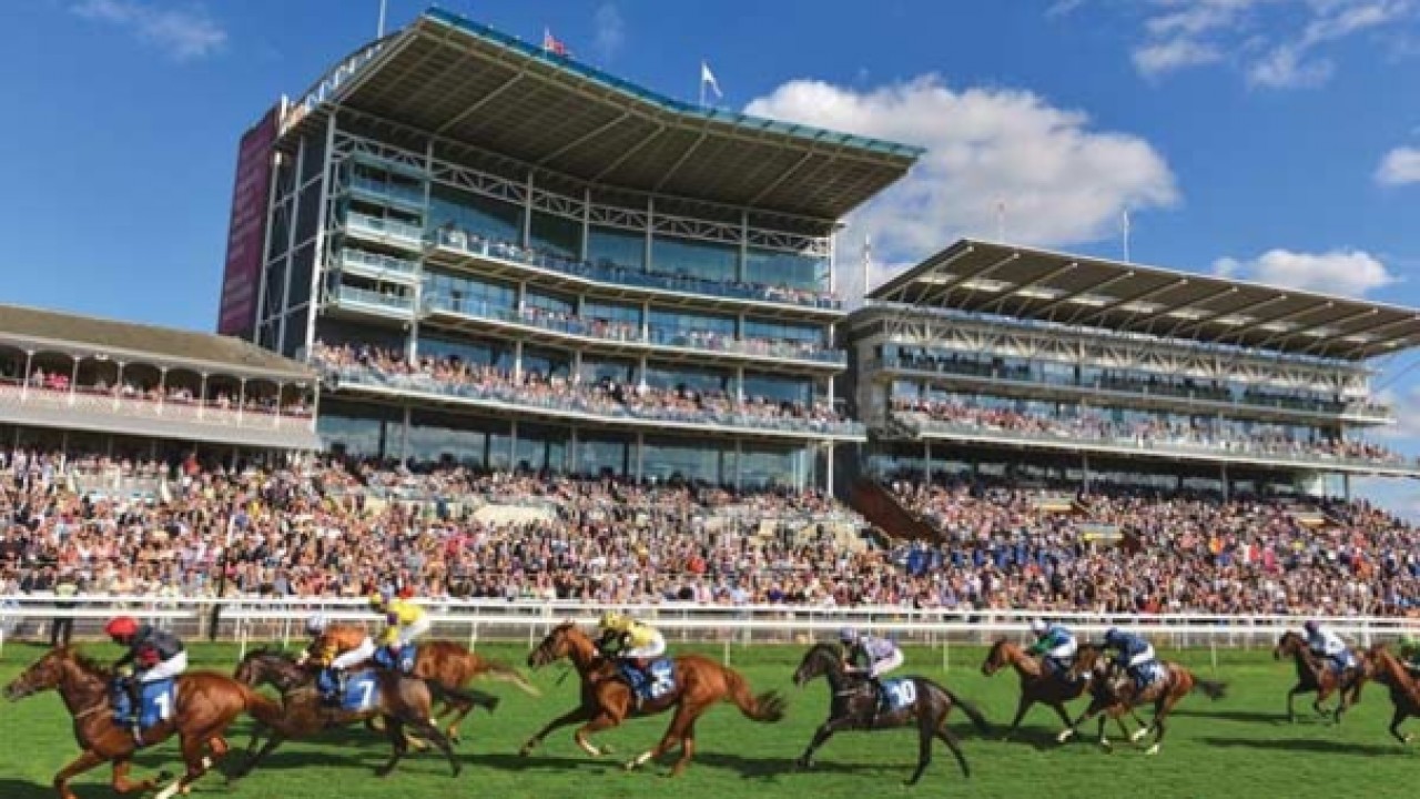 Clash Of The Titans: Ebor Festival Preview Image 1