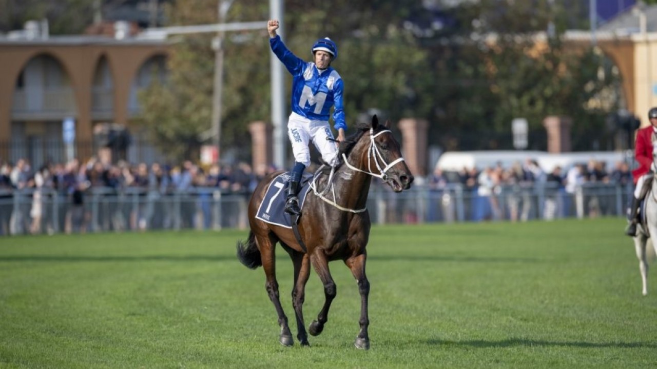 Chris Waller Aims For Milestone Victory At Winx Race: The ... Image 1