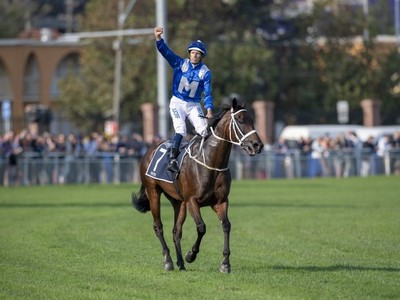 Chris Waller Aims For Milestone Victory At Winx Race: The ... Image 1