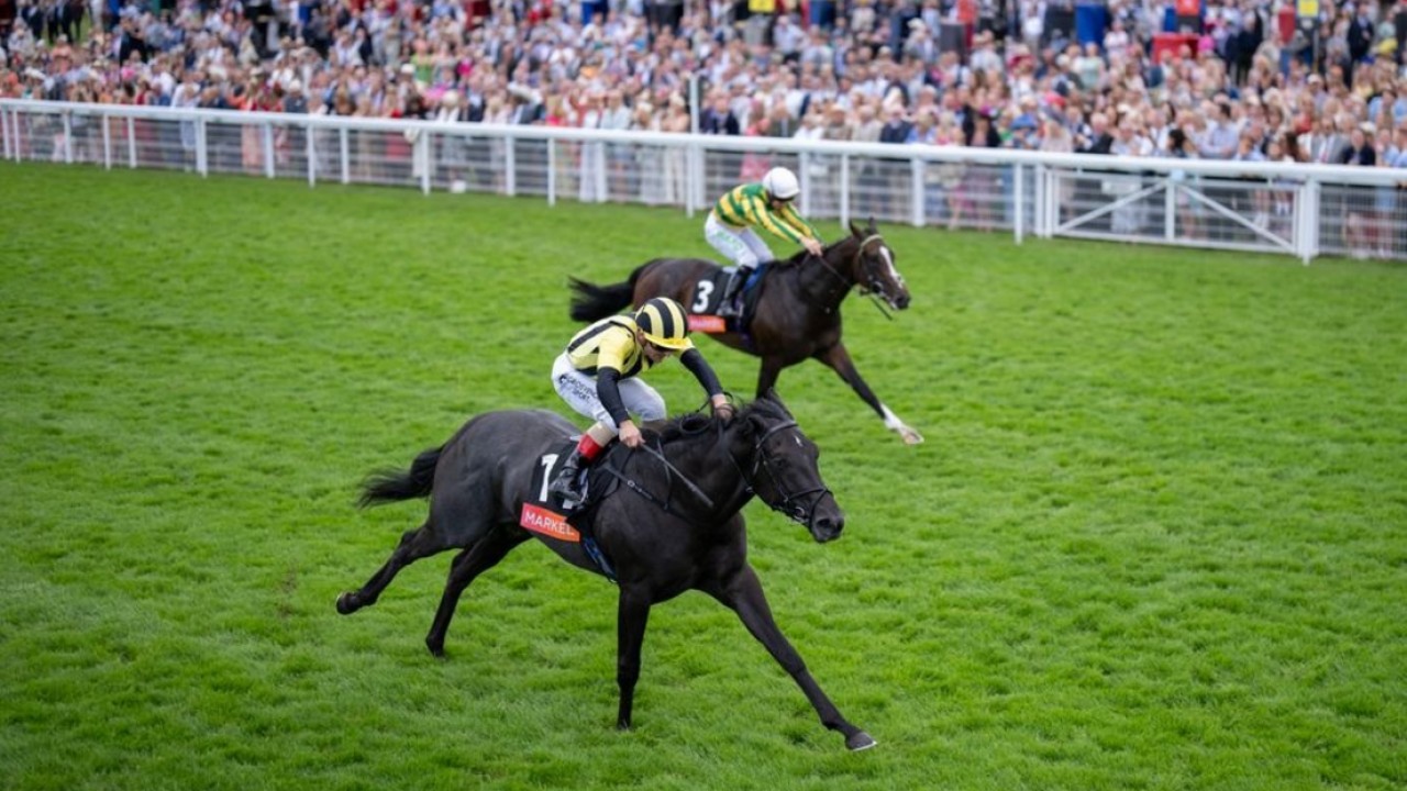 Wathnan Racing Set To Shine At Ebor Festival With Strong ... Image 1