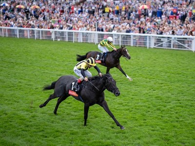 Wathnan Racing Set To Shine At Ebor Festival With Strong ... Image 1