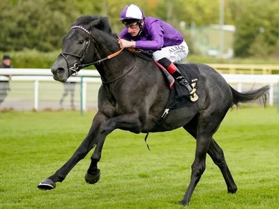 King Of Steel To Compete In Royal Bahrain Irish Champion ... Image 1