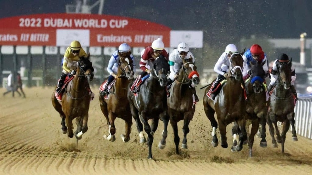 Dubai Racing Club Announces 27% Year-On-Year Increase At ... Image 1