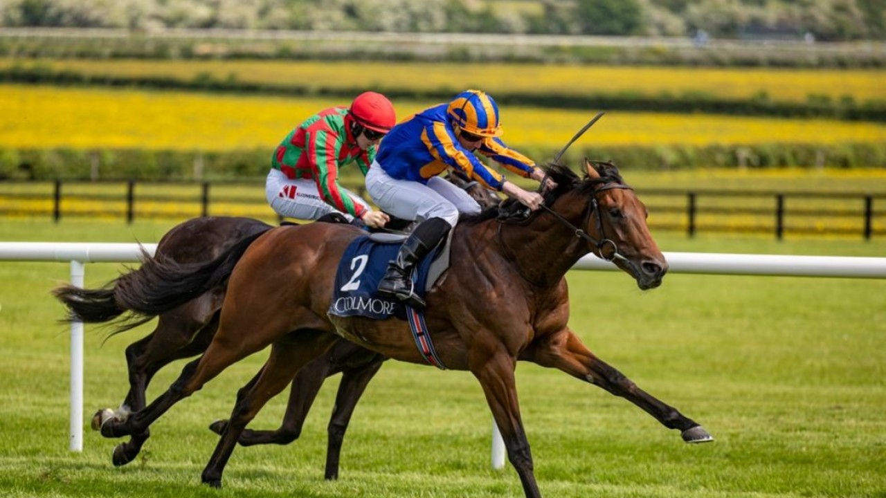 Aidan O'Brien Voices Fitness Concerns For River Tiber ... Image 1