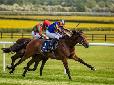 Aidan O'Brien Voices Fitness Concerns For River Tiber ... Image 1