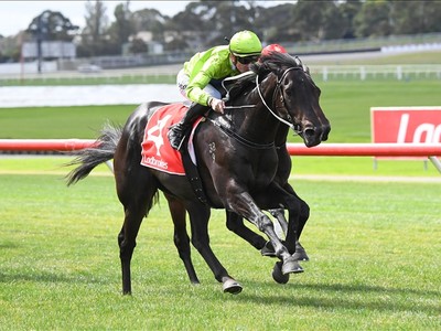 Amenable Shines In Group One Debut Image 1