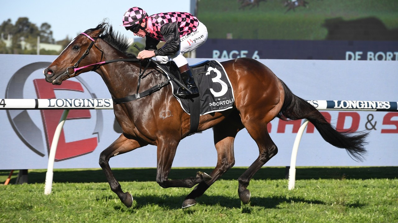 Epic Partnership: Champion Jockey Mounts Superstar Sprinter ... Image 1