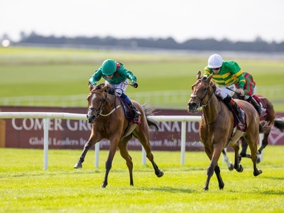 Shamida Shines, Challenging Irish St Leger Elders Image 1