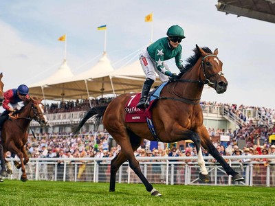 Top Contenders Set For Juddmonte International Image 1