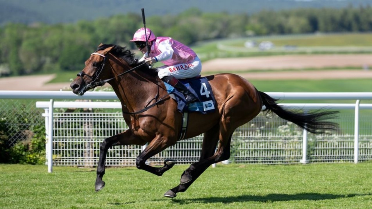 Gregory Aims For Great Voltigeur Glory Image 1