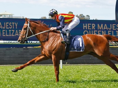 Black Caviar Celebrates 17th Birthday With A New Foal Image 1