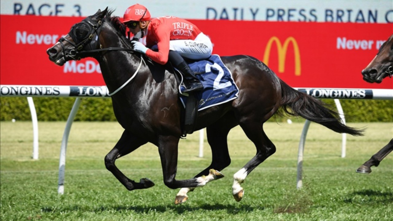 Mazu And Tommy Berry Team Up Image 1