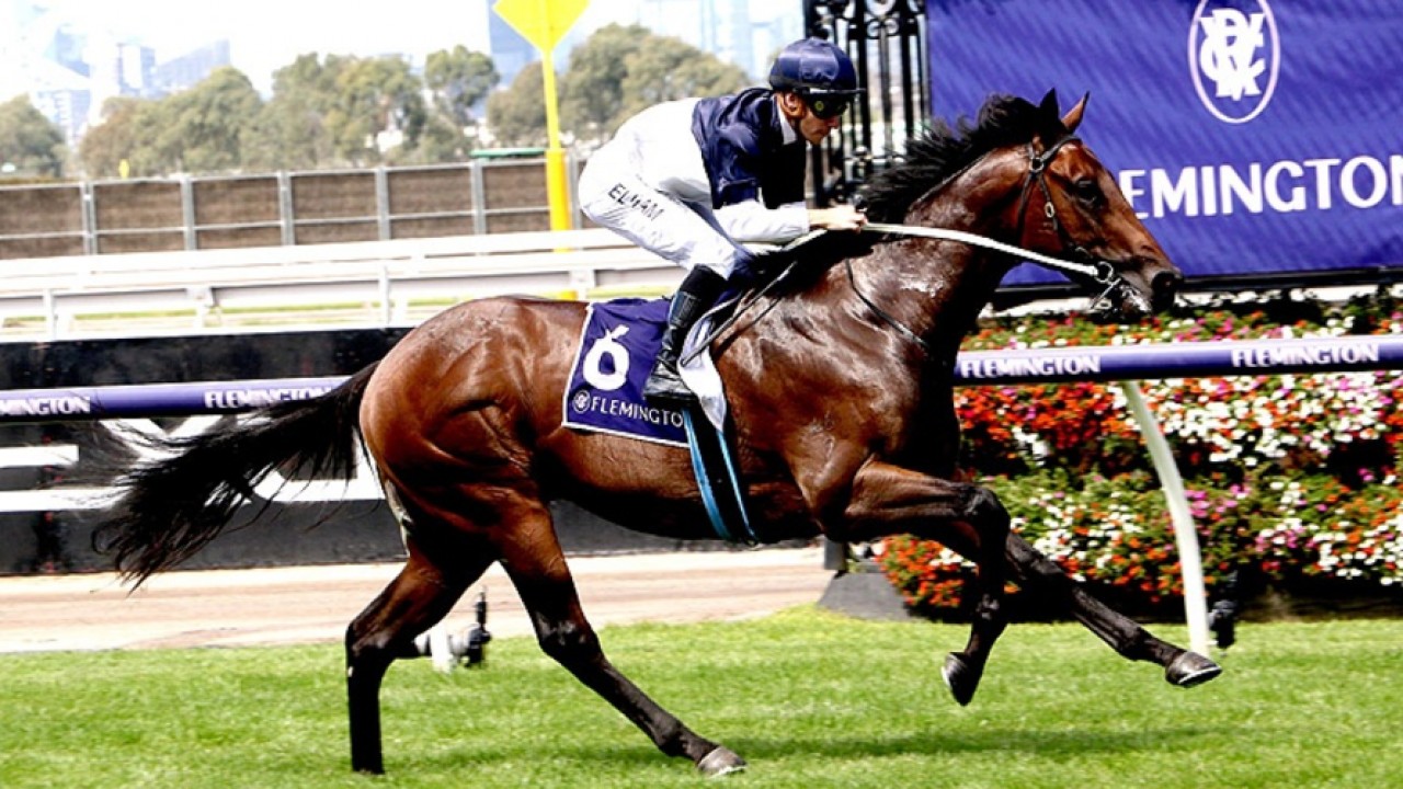 What You Need VS Giga Kick In The McEwen Stakes Image 1