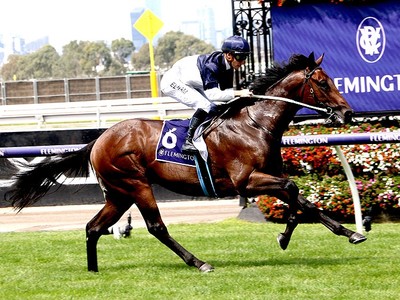 What You Need VS Giga Kick In The McEwen Stakes Image 1