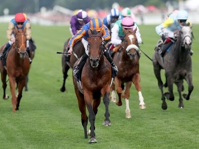 Can Castle Way Conquer Great Votigeur Stakes &amp; Reach St ... Image 1