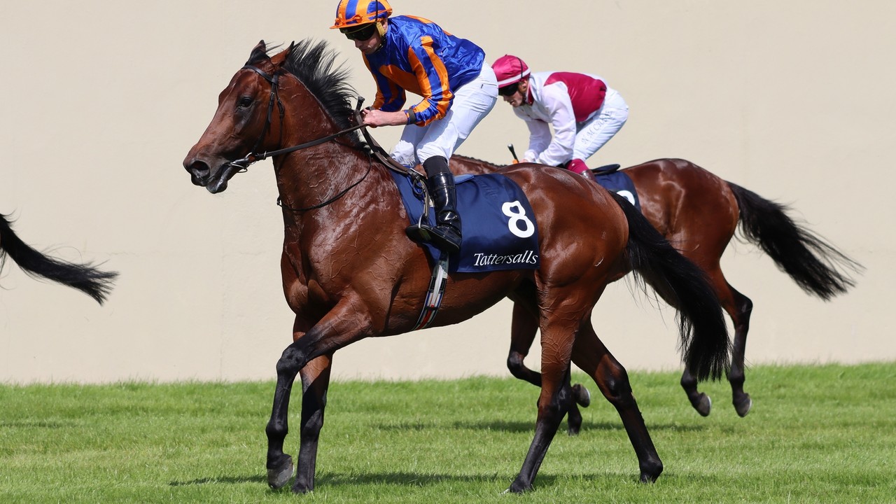 Racing Royalty: Ruthless Paddington Fights For Fifth Group ... Image 1