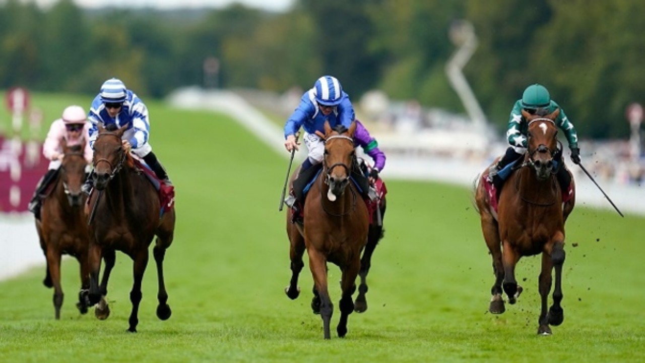 Top-Class Horses Ready For Yorkshire Oaks Battle Image 1