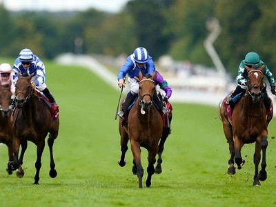 Top-Class Horses Ready For Yorkshire Oaks Battle Image 1