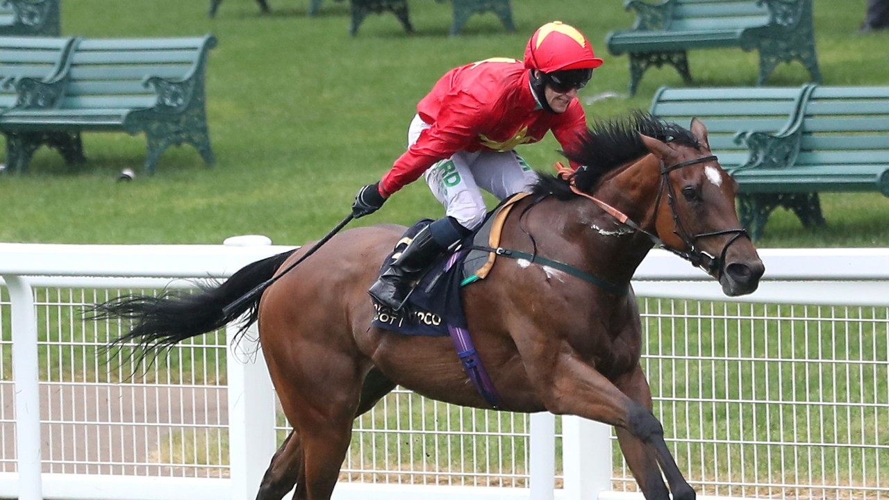 York's Nunthorpe Stakes: Highfield Princess Confronts Tough ... Image 1